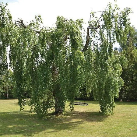 Feriehus Arupsvej Graested *