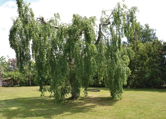 Vakantiehuis Arupsvej Graested *